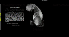 Desktop Screenshot of gabrielbernat.com