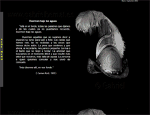 Tablet Screenshot of gabrielbernat.com