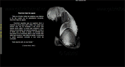 Desktop Screenshot of gabrielbernat.es